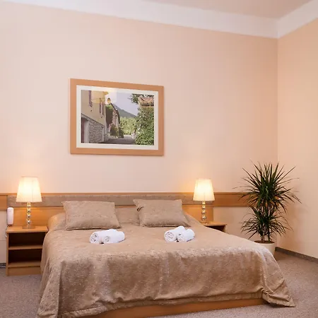 Otel Aquasol 4*